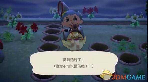 《动物森友会》无伤抓狼蛛攻略