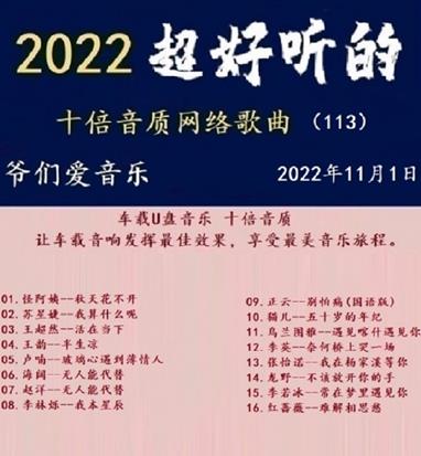 群星《2022超好听的十倍音质网络歌曲(113)》WAV分轨