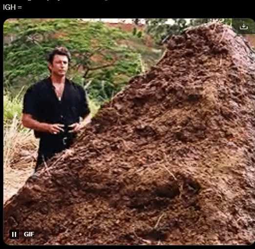 外网比较IGN《黑神话》《龙腾4》评分:这不合理!